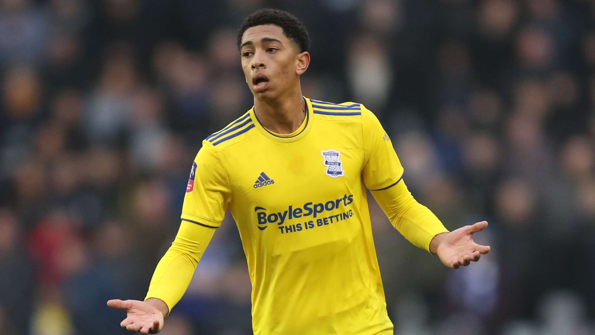 受欢迎的年 受欢迎的年