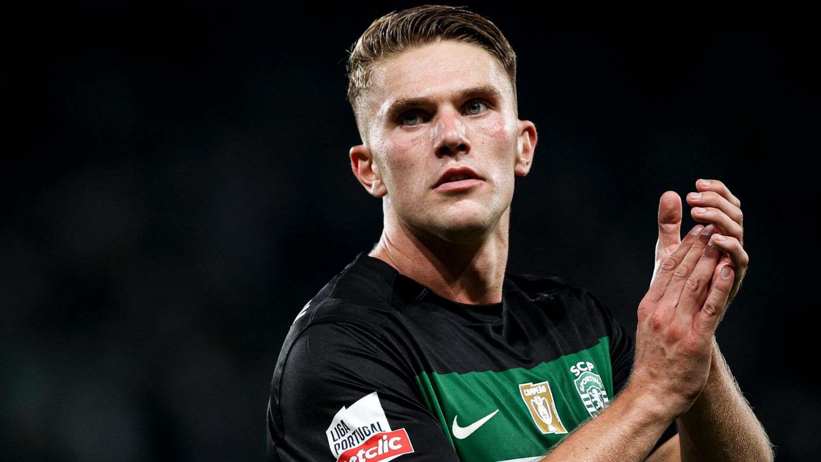 内能获得成 内能获得成