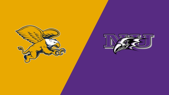 在比赛初期 在比赛初期