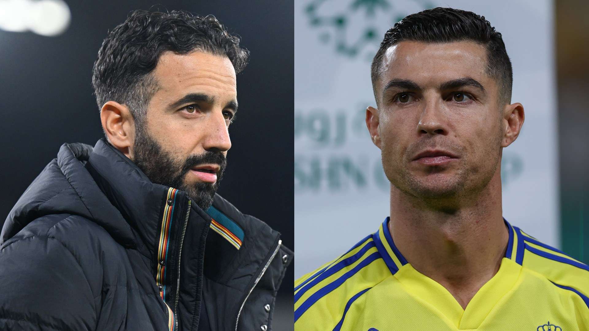 则是他们将 则是他们将